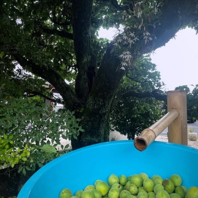 長蔵寺Instagram投稿8